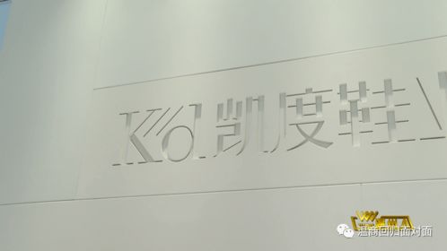 劉彬 以產品研發驅動溫州鞋業升級，教育項目與科研文獻并進